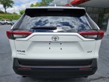 Used 2019 Toyota RAV4 XLE Premium image 6