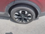 Used 2023 Kia Sportage X-Line w/ X-Line Premium Package image 6