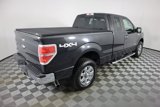 Used 2014 Ford F150 XLT w/ Equipment Group 302A Luxury image 3