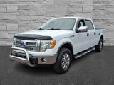 Used 2014 Ford F150 XLT w/ Equipment Group 301A Mid image 4