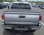 Used 2020 Toyota Tacoma TRD Sport w/ TRD Premium Sport Package image 4