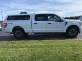 Used 2022 Ford F150 XL w/ STX Appearance Package image 4