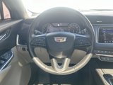 Used 2019 Cadillac XT4 Premium Luxury image 5