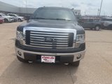 Used 2012 Ford F150 XLT w/ XLT Chrome Pkg image 3