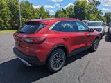 New 2024 Ford Escape SE image 4