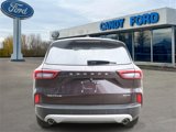 Used 2023 Ford Escape Active w/ Tech Pack #1 image 4