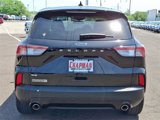 Used 2022 Ford Escape SE w/ SE Sport Appearance Package image 5