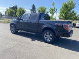 Used 2012 Ford F150 XL image 3