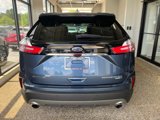 Used 2019 Ford Edge Titanium image 3