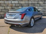 Used 2022 Cadillac CT5 Premium Luxury image 5