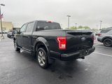 Used 2015 Ford F150 XLT w/ Equipment Group 301A Mid image 5