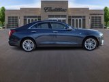 New 2025 Cadillac CT4 Premium Luxury image 6