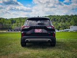 Used 2020 Ford Escape Titanium image 5