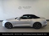 Used 2019 Ford Mustang Premium image 4
