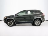 Used 2019 Jeep Cherokee Trailhawk w/ Cold Weather Group image 4