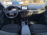 New 2025 Ford Escape Active w/ Cold Weather Package image 6