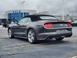 Used 2019 Ford Mustang Premium w/ Equipment Group 201A image 4