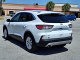 Used 2020 Ford Escape SE image 5