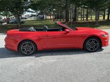 Used 2022 Ford Mustang Premium image 4