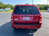 Used 2009 Ford Escape XLT image 4