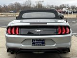Used 2022 Ford Mustang Premium image 5