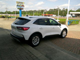 Used 2020 Ford Escape SE image 4