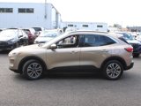 Used 2020 Ford Escape SEL image 5