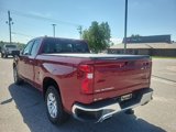Used 2019 Chevrolet Silverado 1500 LT w/ All-Star Edition image 4