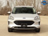 Used 2020 Ford Escape SE image 2