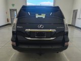 Used 2019 Lexus GX 460 image 4