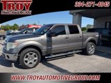 Used 2014 Ford F150 XLT w/ Equipment Group 302A Luxury image 3