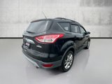 Used 2013 Ford Escape SEL image 5