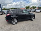 Used 2017 Ford Escape SE w/ SE Cold Weather Package image 6