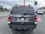 Used 2010 Ford Escape XLT image 4