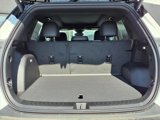 New 2025 GMC Terrain Elevation w/ Elevation Premium Package image 3