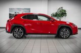 Certified 2024 Lexus UX 250h FWD image 5