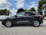 Used 2020 Ford Escape SE image 5