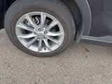 Used 2024 Honda CR-V EX-L image 3