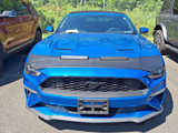 Used 2020 Ford Mustang Convertible w/ Equipment Group 101A image 2
