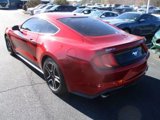 Used 2020 Ford Mustang Coupe w/ Equipment Group 101A image 3