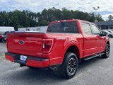 Used 2023 Ford F150 XLT w/ Equipment Group 302A High image 3