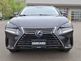 Used 2020 Lexus NX 300h AWD w/ Comfort Package image 2