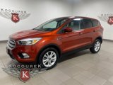 Used 2019 Ford Escape SE image 3