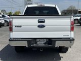 Used 2011 Ford F150 XLT w/ XLT Chrome Pkg image 6