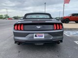 Certified 2021 Ford Mustang Premium w/ Equipment Group 201A image 6