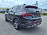 Used 2023 Hyundai Santa Fe SEL image 3