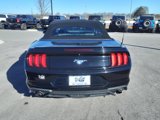 Certified 2022 Ford Mustang Premium image 4