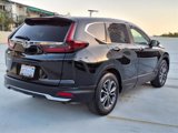 Used 2020 Honda CR-V EX image 4