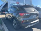 Used 2020 Ford Escape SEL image 4