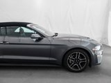 Used 2023 Ford Mustang Premium image 2